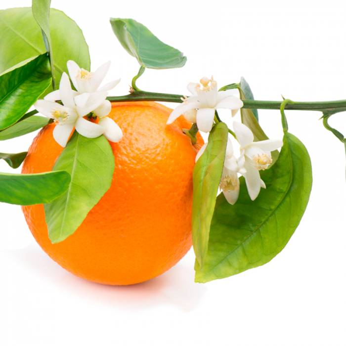 Neroli etherische olie, biologisch